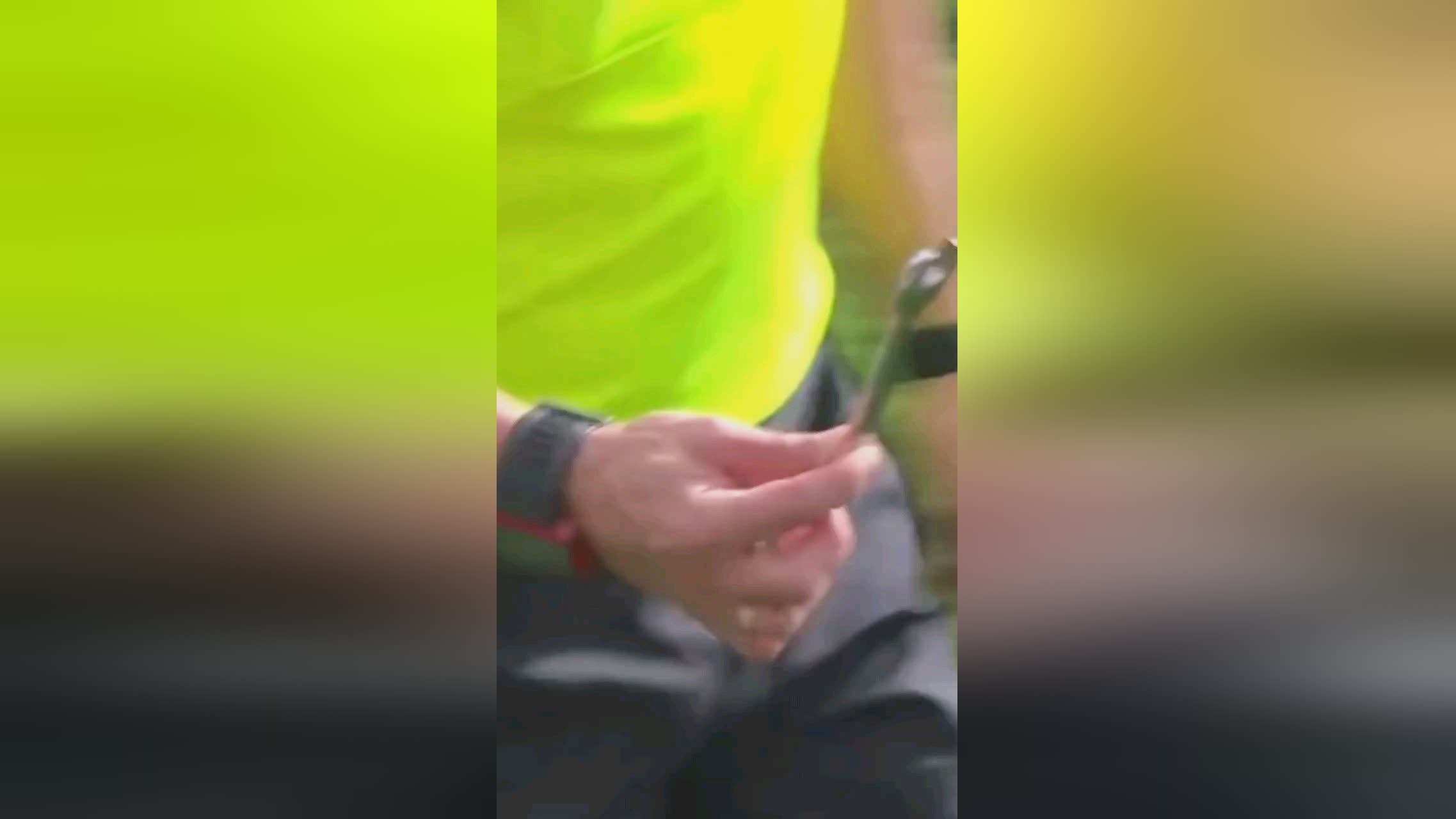 所在通
